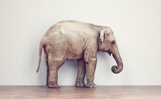 Upvoty 是如何发展到 0 雇员,每月 4 万美元的月收入的?