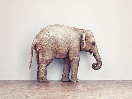 Upvoty 是如何发展到 0 雇员,每月 4 万美元的月收入的?